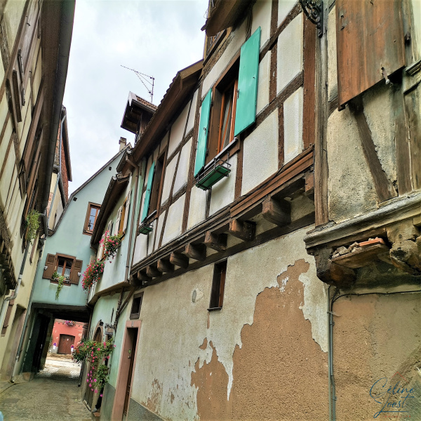 Offres de vente Maison de village Bergheim 68750