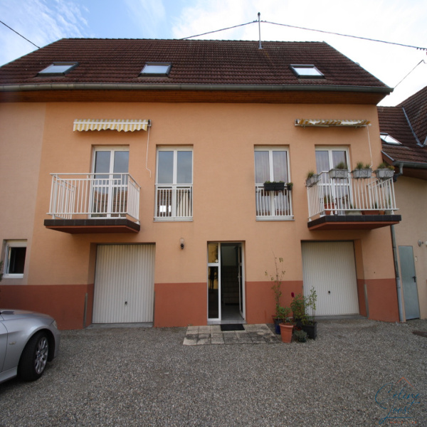 Offres de vente Immeuble Wolfgantzen 68600